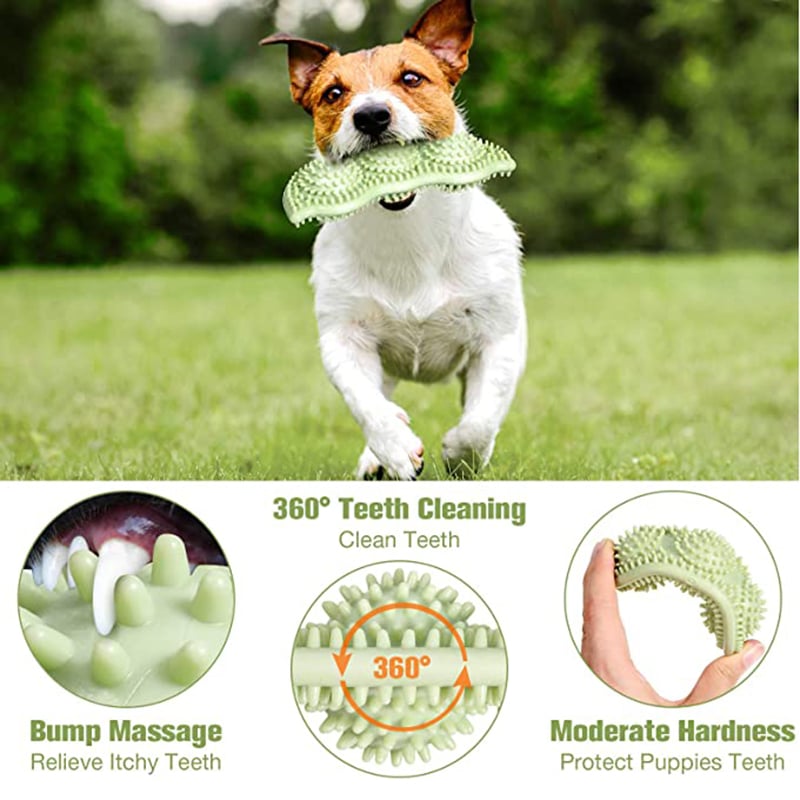 ChewSafe Dog Play Ball